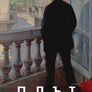 Плът-Дейвид Салаи